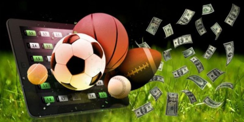 Yếu tố nhận biết các loại cược thơm tại 23WIN